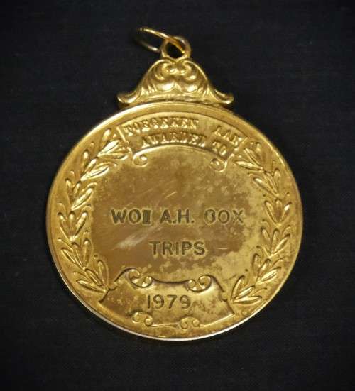 Vintage SADF Badges and Medals