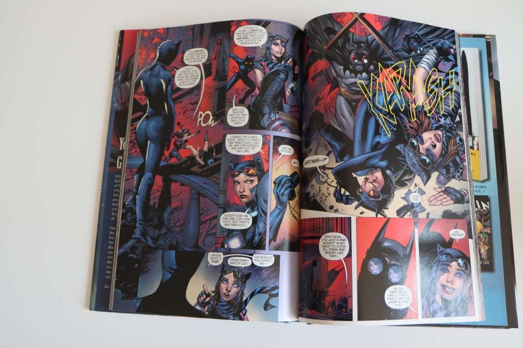 DC Comics Batman: Life After Death Published 2010 (Hardcover)