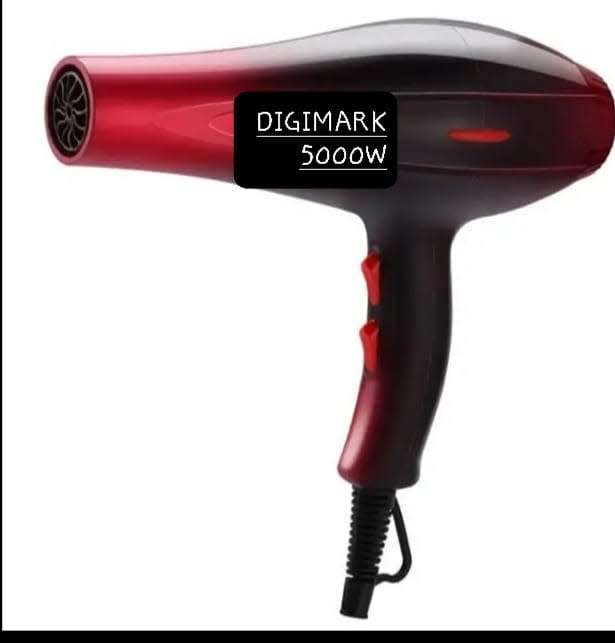 Digimark Professional Hair Dryer