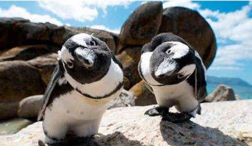 Charity Auction! Private full day tour for two people to Cape Point or the Winelands (Jarat Tours)