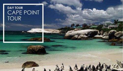 Charity Auction! Private full day tour for two people to Cape Point or the Winelands (Jarat Tours)