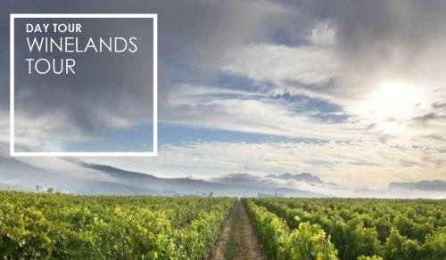 Charity Auction! Private full day tour for two people to Cape Point or the Winelands (Jarat Tours)