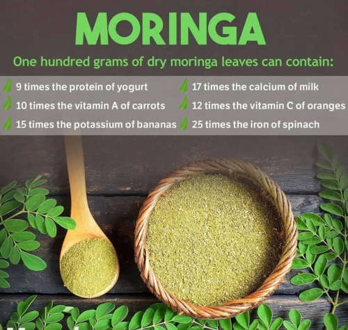 Moringa Powder ( 1 Kg )