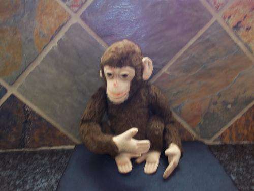 STEIFF :JACKO" THE MONKEY