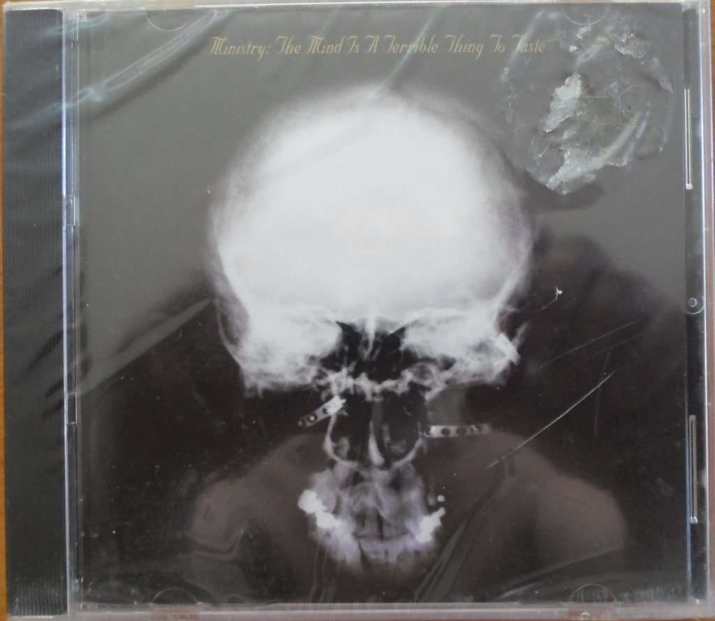 Ministry - The Mind is a Terrible Thing to Taste