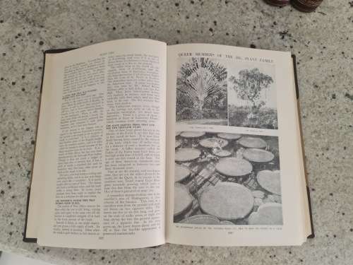 Arthur Mee Childrens Encyclopedia