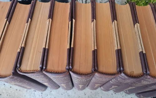 Arthur Mee Childrens Encyclopedia