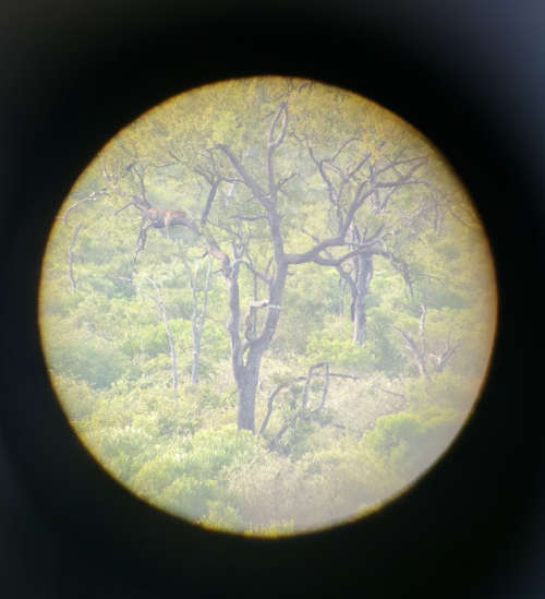 tasco 60x spotting scope