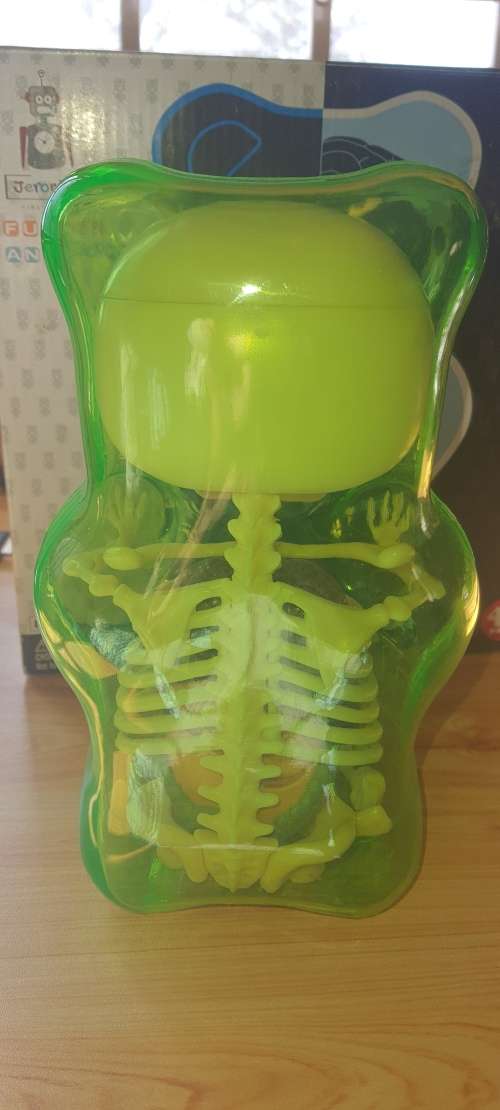 GUMMI BEAR ANATOMY BY JASON FREENY.