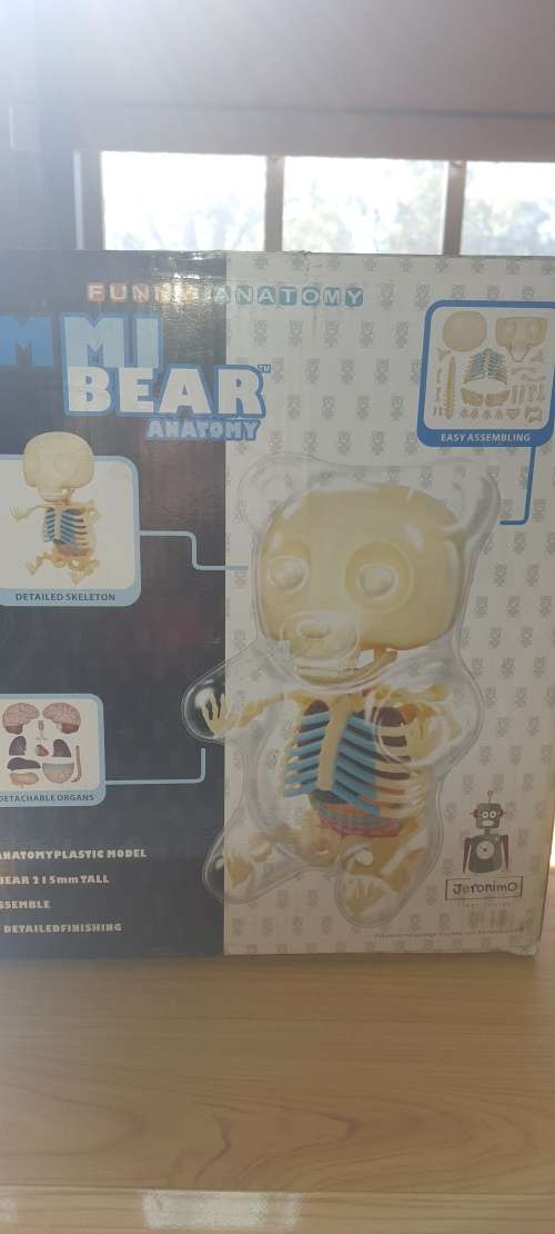 GUMMI BEAR ANATOMY BY JASON FREENY.