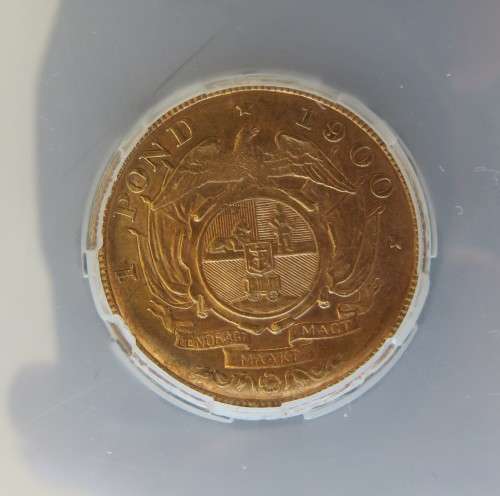 1900 ZAR Pond SANGS AU55