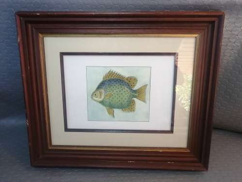Very Beautiful Solid Wood Framed Fish Drawing