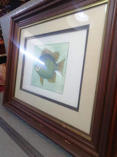 Very Beautiful Solid Wood Framed Fish Drawing