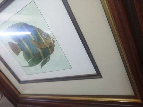 Very Beautiful Solid Wood Framed Fish Drawing