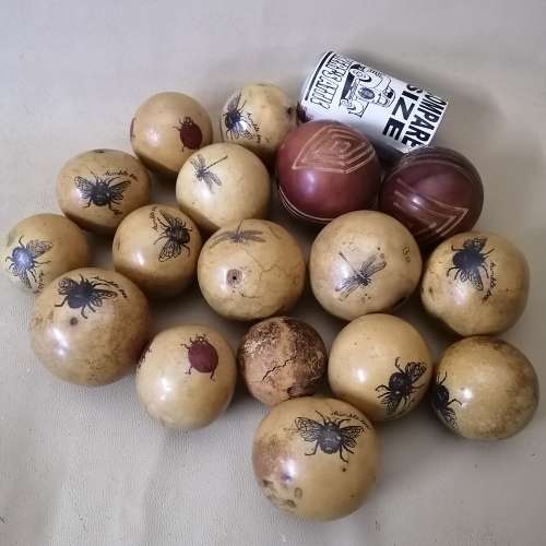 Large Collection Of Wooden Balls Decorated With Hand Drawn Insects
