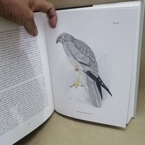 THE BIRDS OF SOUTHERN AFRICA BY FINCH-DAVIES AND KEMP