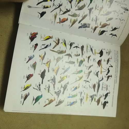 Sasol Birds of Southern Africa Paperback 1997