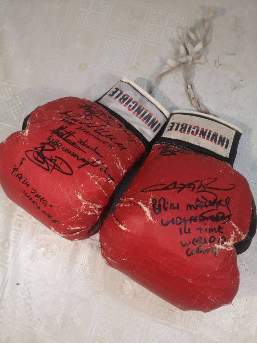 Vintage Autographed Boxing Gloves