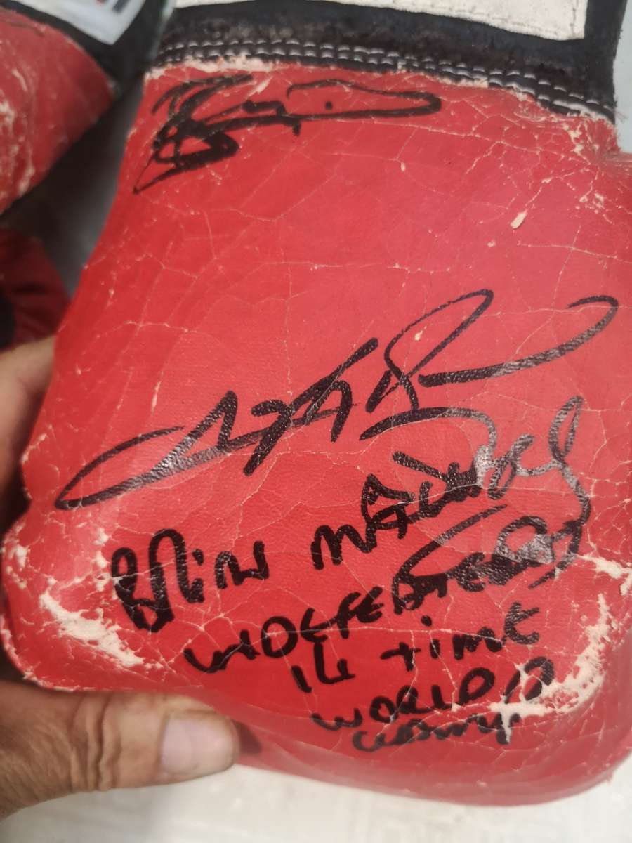 Vintage Autographed Boxing Gloves
