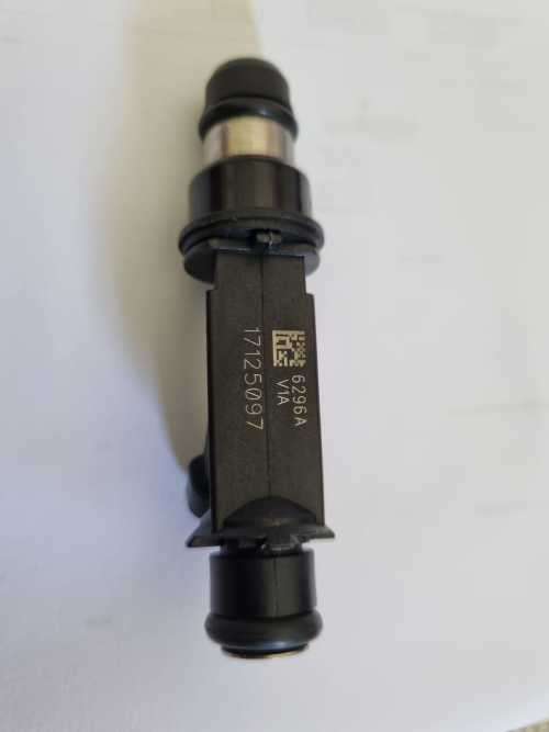 Isuzu Cam Inyathi Fuel Injector  17125097 8171250970 17125097 25334156 25333351