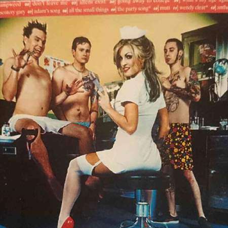 Blink 182:Enema of the State : CD
