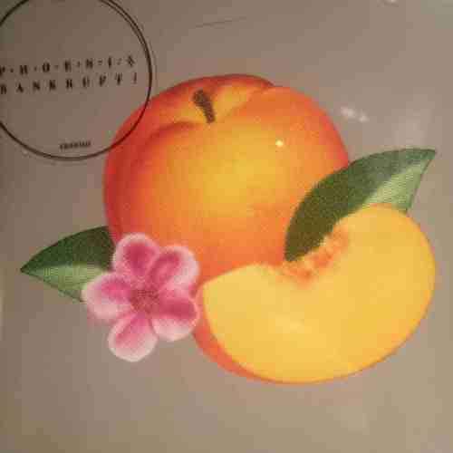 Phoenix : Bankrupt  ! : CD