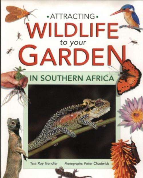 Attracting Wildlife to your Garden in Southern Africa