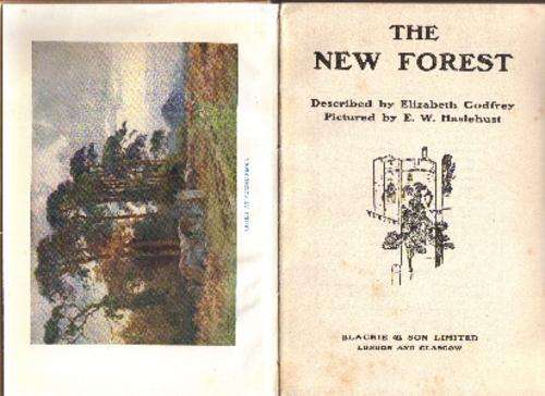 The New Forest
