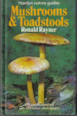 Mushrooms & Toadstools by Ronald Rayner