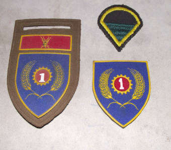 SADF Shoulder Flashes
