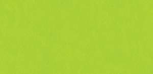 Textured Cardstock - Lime (30cm x30cm)