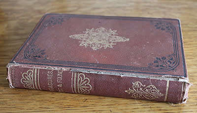 Treasures, Lost and Found; A Story of Life in Tasmania by a Tasmanian Lady