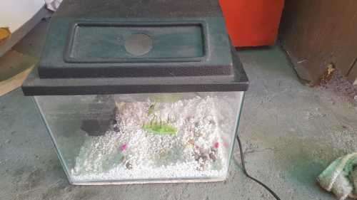 Fish Tank Excellent Condition