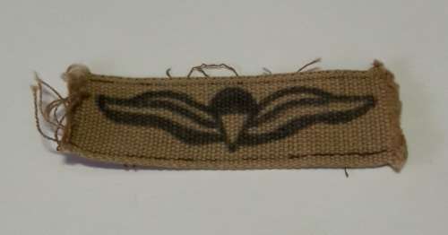 SA Parachute Wings Combat Dress    K11  No.1