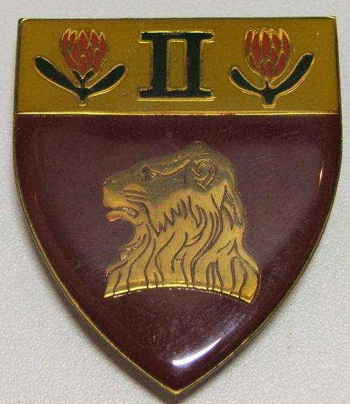 2 REGIMENT DE LA REY SHOULDER FLASH 3 PINS