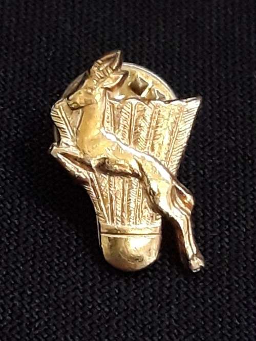 Vintage Springbok Pluimbal / Badminton Lapel Pin                C67