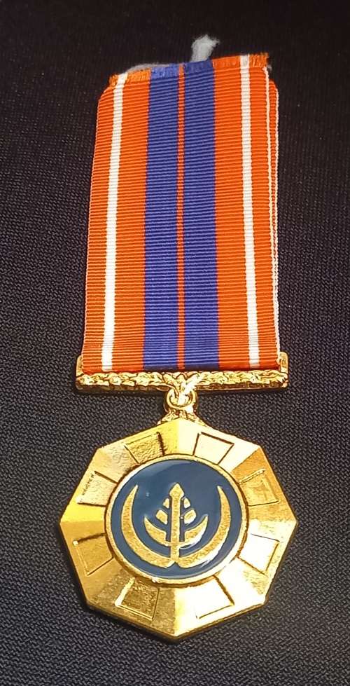SADF Pro Patria Medal    310687             L3