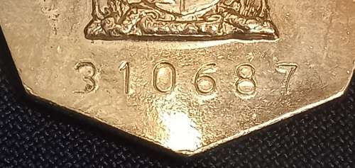 SADF Pro Patria Medal    310687             L3