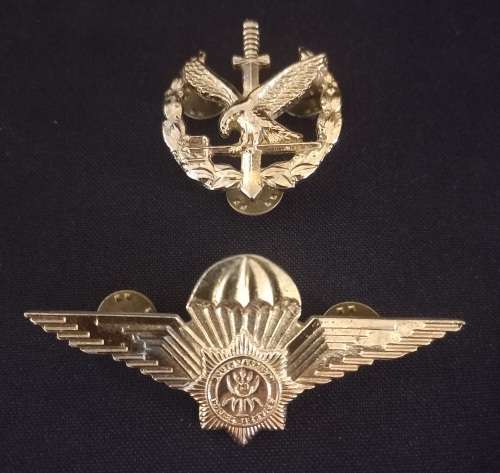 South African Police Special Task Force Operators Badge + Parachute Wings Badge Combo    RR26