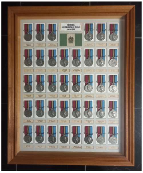 Rhodesian General Service Medal Collection  Professionally Framed   `` See Photo`s ``