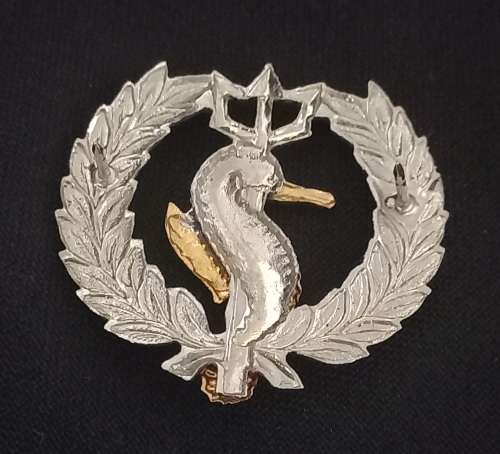 Scarce Sa Navy Independent Ships & Air Sea Rescue flotilla badge    X194