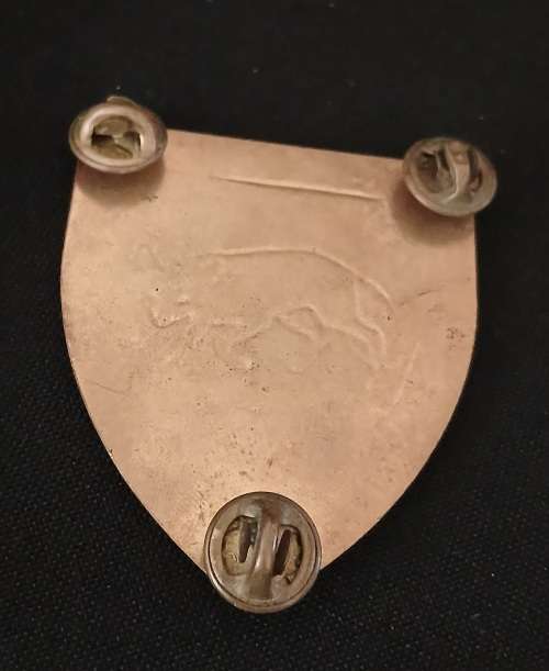 SADF SOUTH COAST COMMANDO Shoulder Flash                      D67