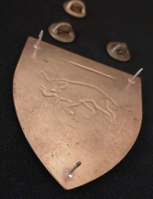 SADF SOUTH COAST COMMANDO Shoulder Flash                      D67