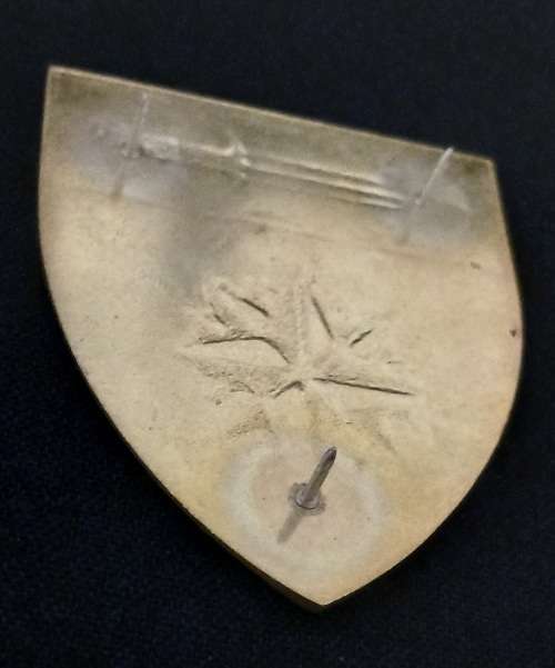 Spesiale Magteskool - Special Forces School Shoulder Flash                               R9