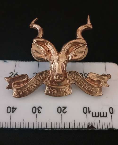 Bophuthatswana Military Base Cap Badge                           M22