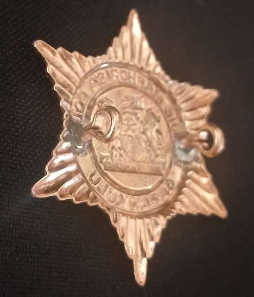 GAZANKULU POLICE CAP BADGE                          F60