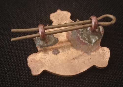 Rhodesian Light Infantry ( Unknown Badge ) See Photo`s Size: 30 x 30mm     F68