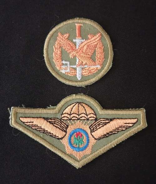 Special Task Force Operators Badge + Special Task Force Wing Badge                F89