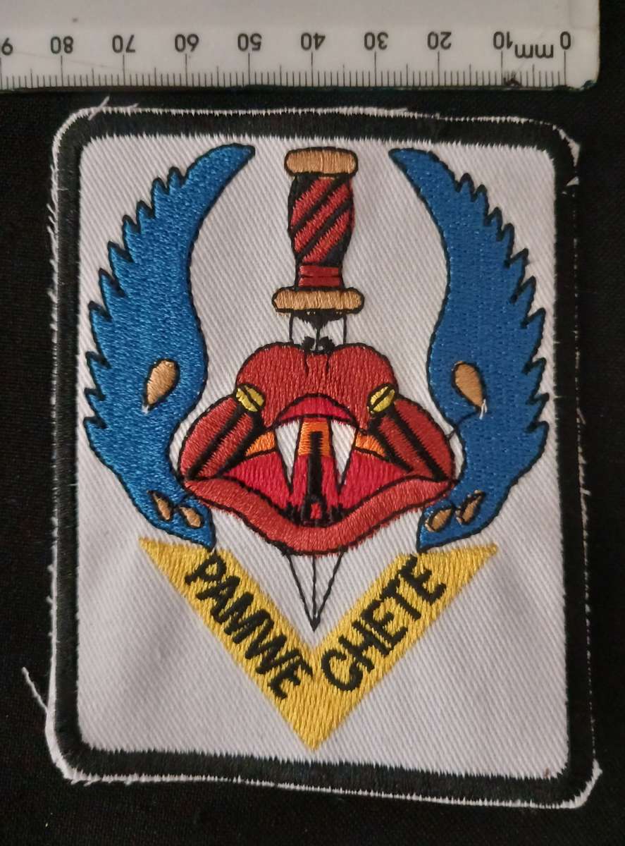 5 RECCE REGIMENT PAMWE CHETE TRACKSUIT BADGE        F167