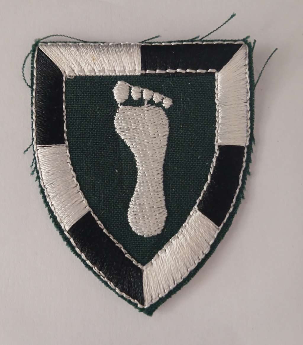 1 SWA SPECIALIST UNIT CLOTH BADGE                   F174